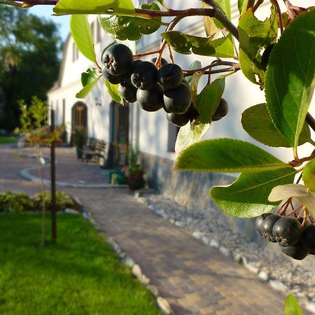 Вілла Aronia Park Lubiechowa Екстер'єр фото