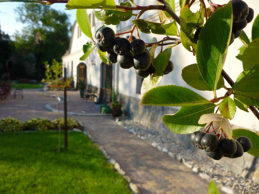 Вілла Aronia Park Lubiechowa Екстер'єр фото